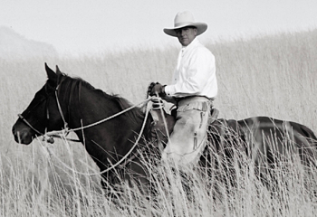 Review by Greg Pole, Equine Manager Flying D Ranch